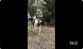 virtual-adventure-trip-pahrump-59-32
